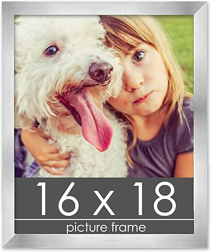 Miniatura 82 de Marco de 28 x 36 pulgadas de madera de peltre plateado con plexiglás acrílico UV, parte trasera de tablero de espuma y accesorios incluidos