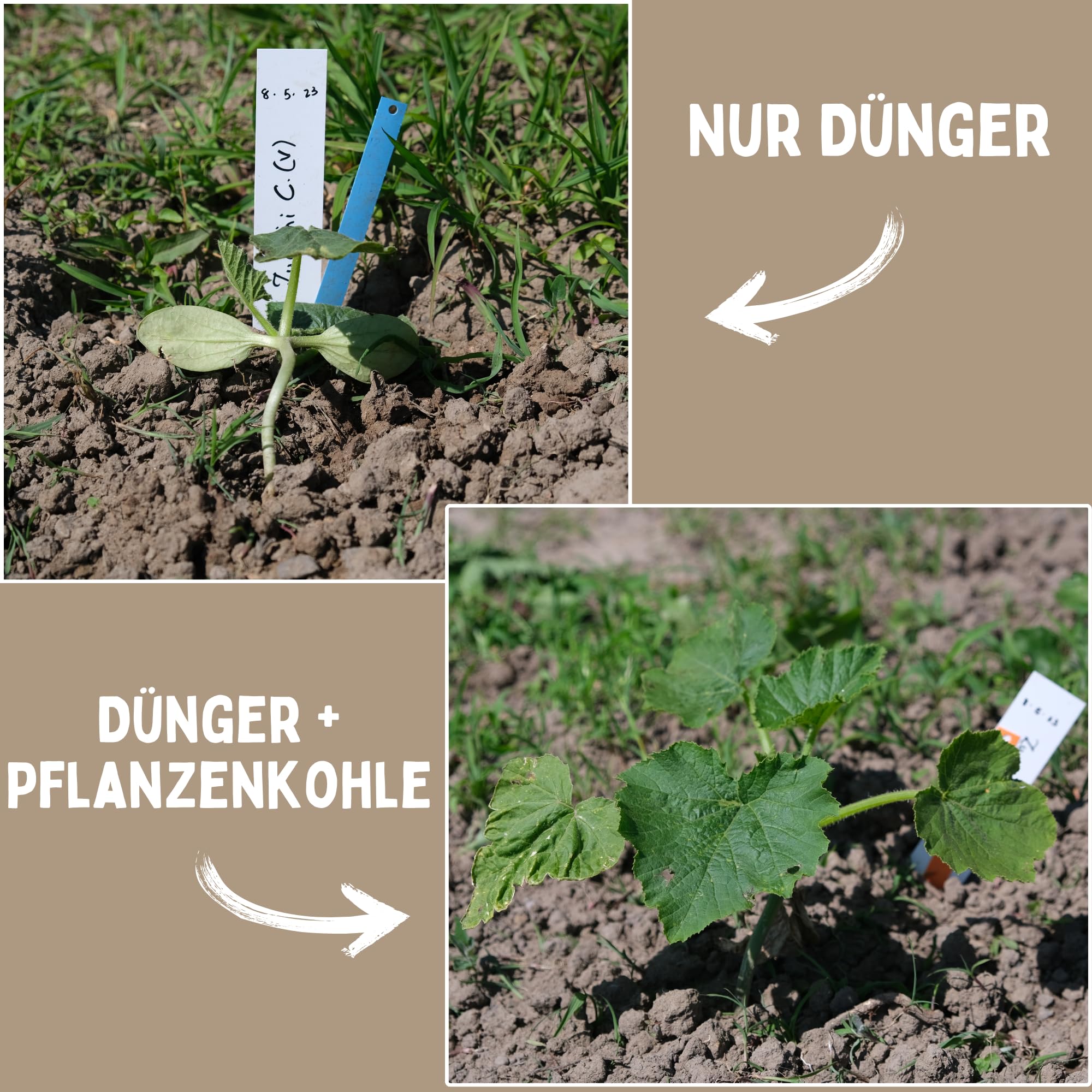 Pflanzenkohle Starterset groß | einfach zusammenmischen, dauerhafte Bodenverbesserung, speichert Wasser & Nährstoffe, Humusförderung, reicht für 28m²