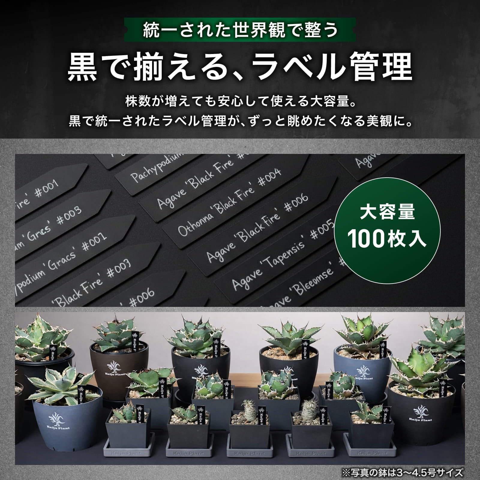 Amazon.co.jp: Kaiju Plant 園芸ラベル 黒ラベル プランツタグ ネーム