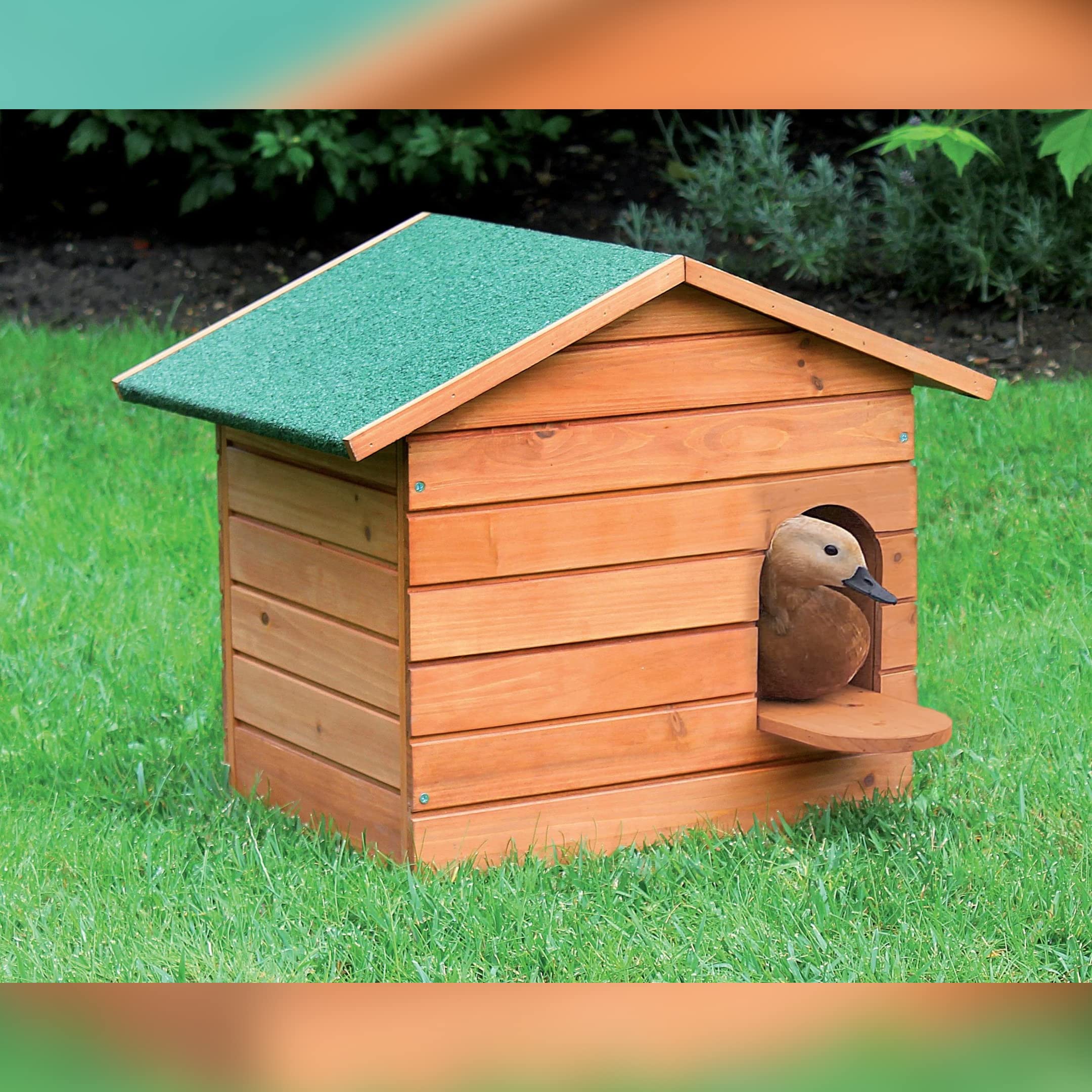 Caseta para Patos - Nido Pequeño para Patos - Refugio de Exterior Fabricado en Madera tratada, Muy Estético