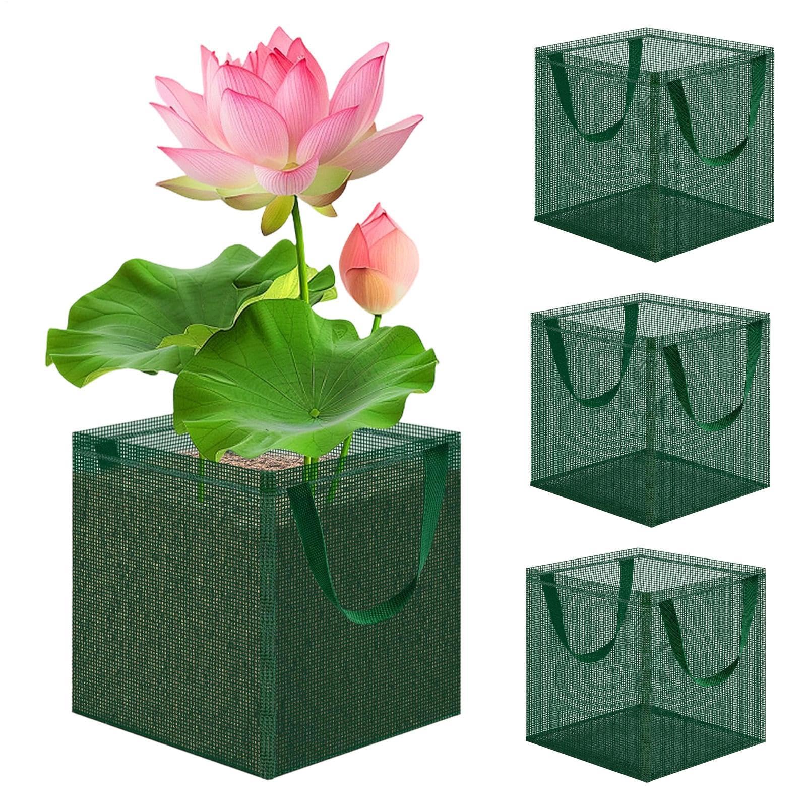 Cesta para plantas de estanque hidropónica | Maceta de red plegable para jardín acuático