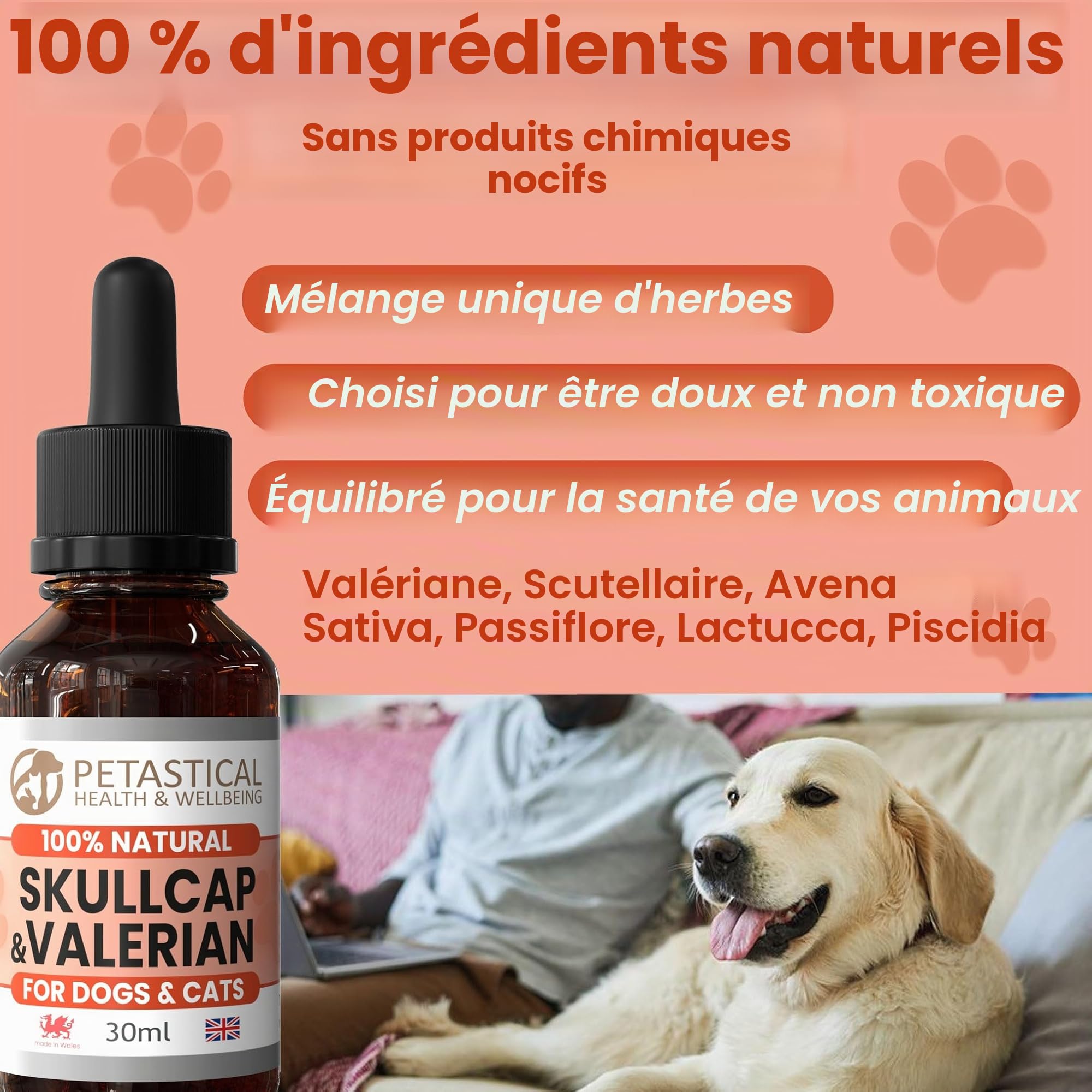 Skullcap Valériane, Chat Chien Calmant, Gouttes Calmantes Anxiété, Seul à la maison, aboiements, Bruits Forts, Feux d'artifice, Voyage (30ml)