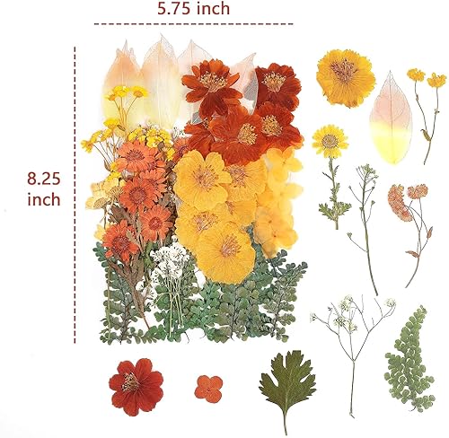 Miniatura 10 de 100 piezas de hojas verdes prensadas secas reales, herbario de plantas naturales para bricolaje, moldes de resina, fabricación de joyas