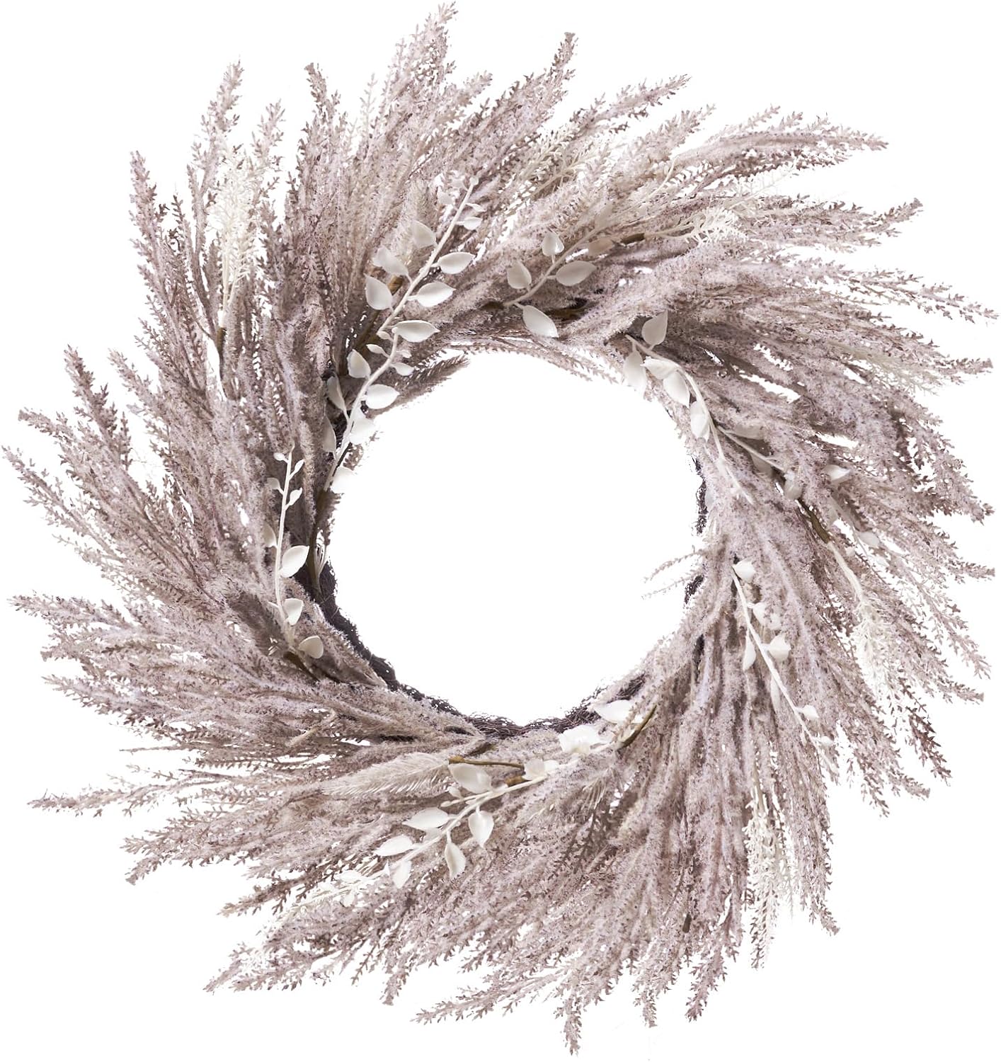 DN DECONATION Fall Wreath for Front Door, 24 Inch Beige & White Pampas Grass Door Wreath Hanging Decoration, Boho Farmhouse Wall Decor for Fall Autumn Harvest Thanksgiving Outdoor Porch Decor