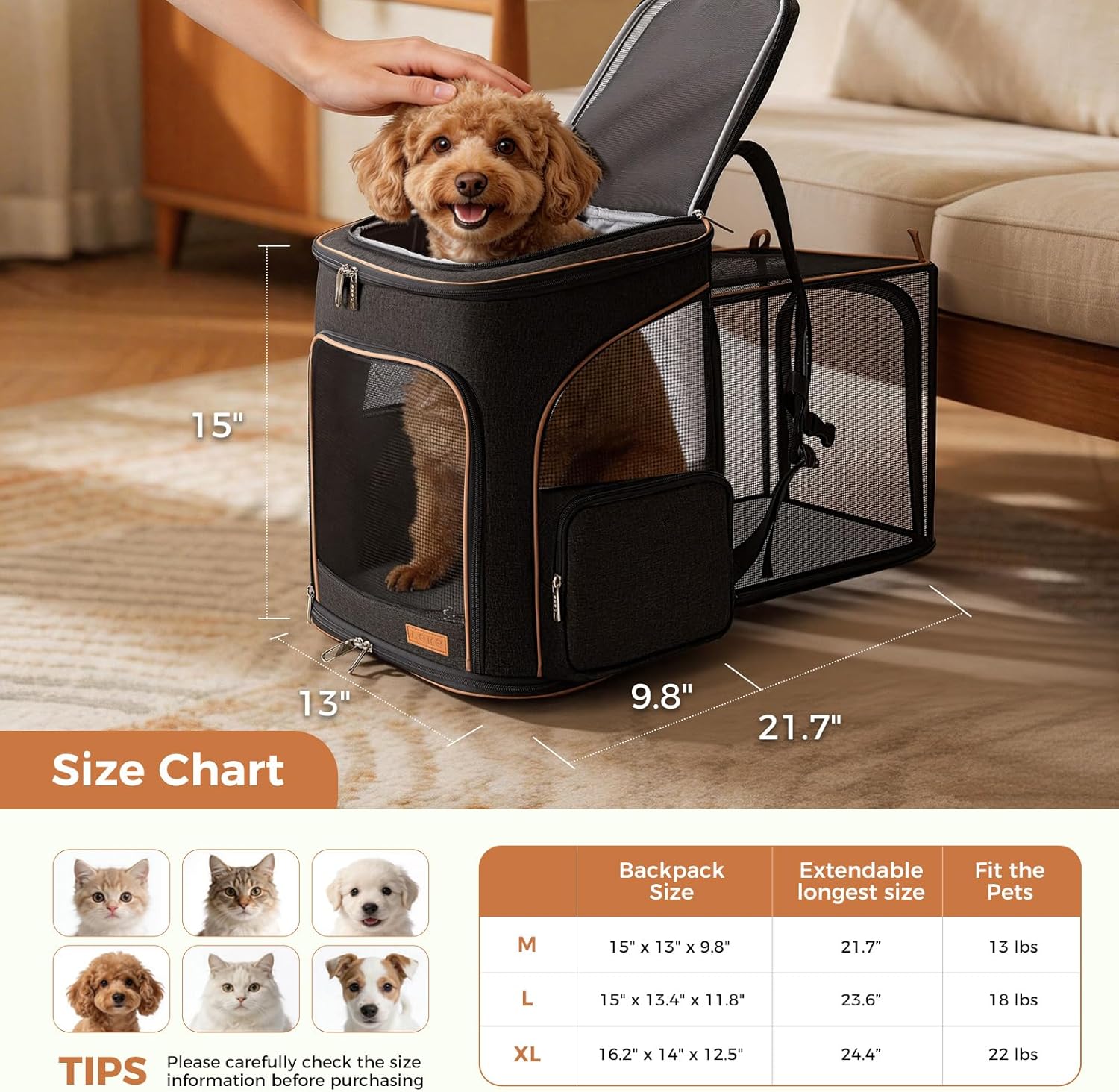 Lekereise Cat Backpack Carrier for Small Dogs and Medium Cat Puppy Kitten Bunny Pet Carrier Backpack Collapsible with Fully Ventilated Mesh with Safety Leash(Black)