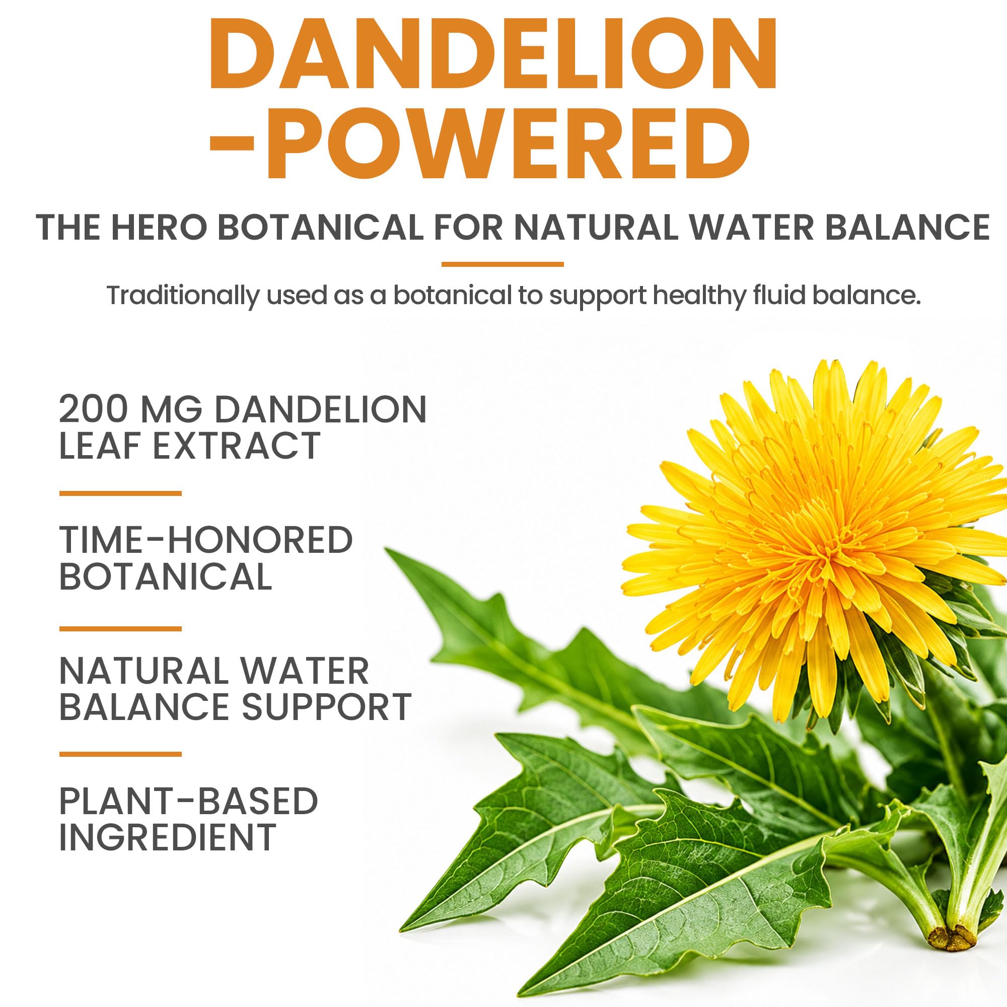 Do You Deal with Swollen Legs and Feet? Try Lipitrex Diuretic Water Pills That Help Reduce Swelling In Feet, Ankles and Legs - These Natural Water Pills Use Dandelion, Uva Ursi & More for Edema Relief — Amazon image 3