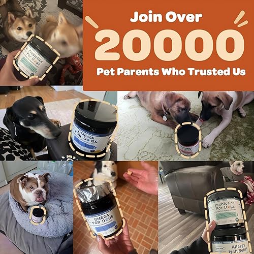 Miniatura 8 de ZEBORA Probióticos para perros  Probióticos para perros, calabaza para la salud digestiva e intestinal, enzimas digestivas y prebióticos para