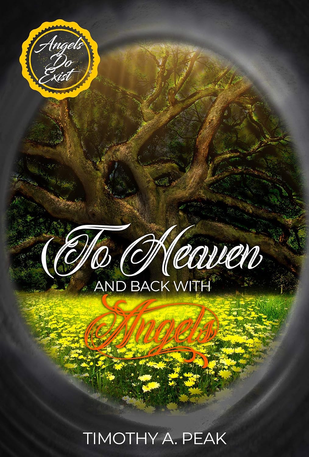 To Heaven and Back With Angels A true Story of