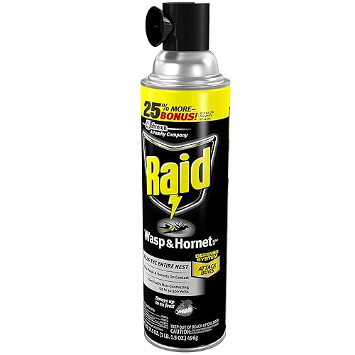 Miniatura 3 de Raid Asesino de avispas y avispas, 17.5 onzas (paquete - 3)