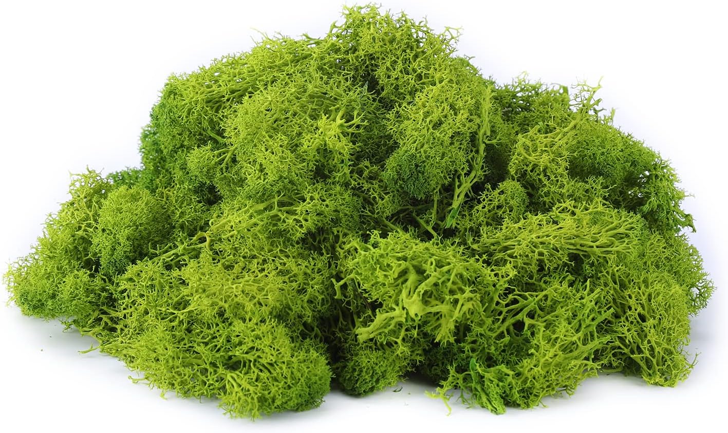 Reindeer Moss - 100G Real Preserved Natural Moss for Crafts & Decoration, Model Making (Lemon Green, 3.5OZ)