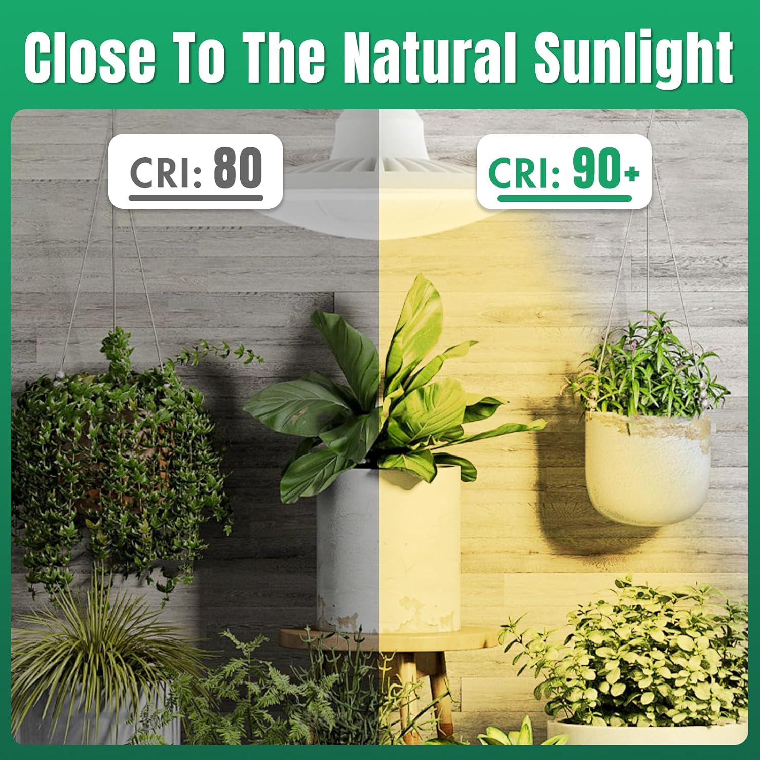 LED Grow Light Bulb, 60W (2 x 30W) Full Spectrum, with 5FT Power Cord with Switch, Hanging Grow Lights for Indoor Plants, Large Tall Plant, Garden, Flowers, Greenhouse, 2Pack