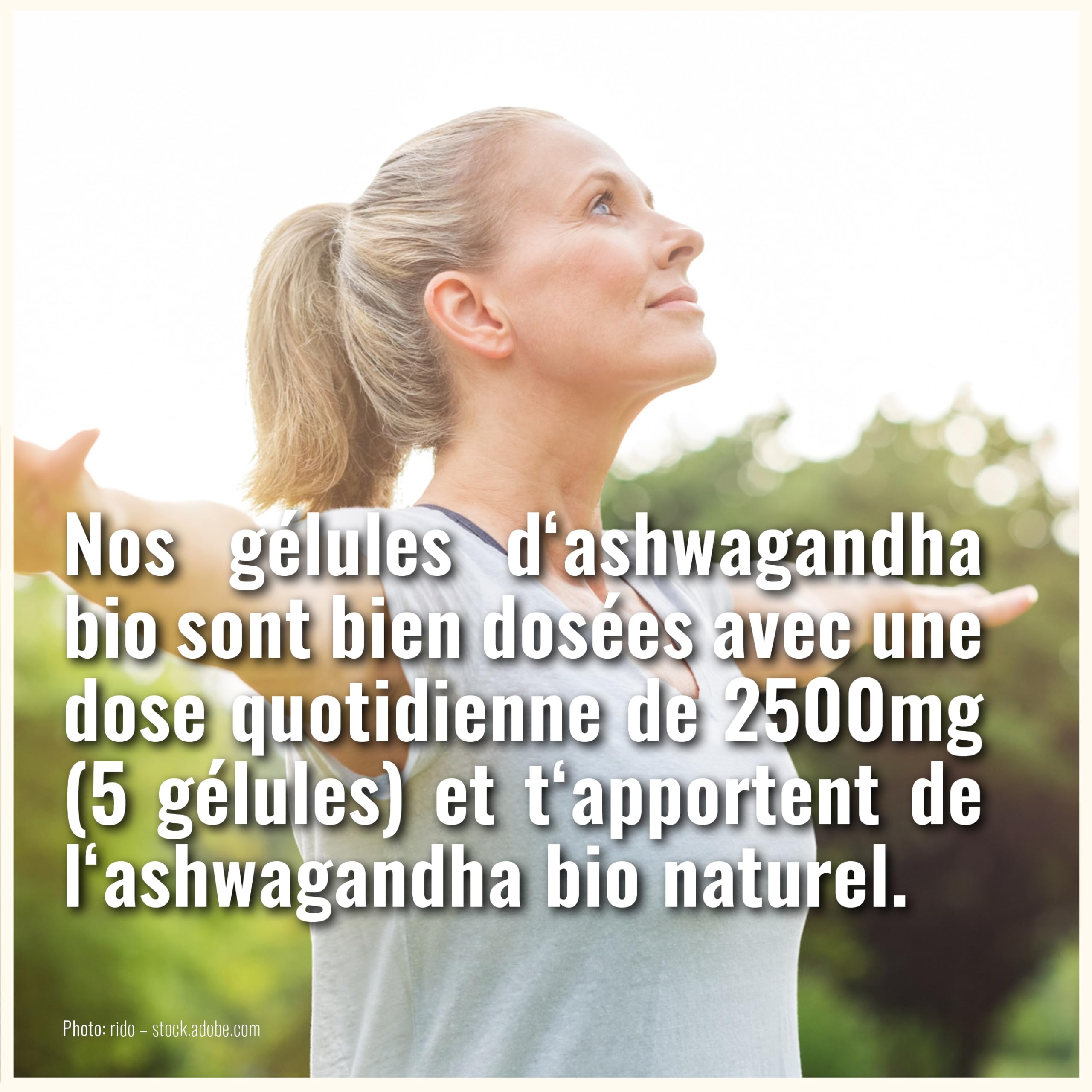 Gélules d'Ashwagandha BIO à forte dose - 290 gélules d'Ashwagandha BIO - Ashwagandha à forte dose Ashwaganda - Culture biologique