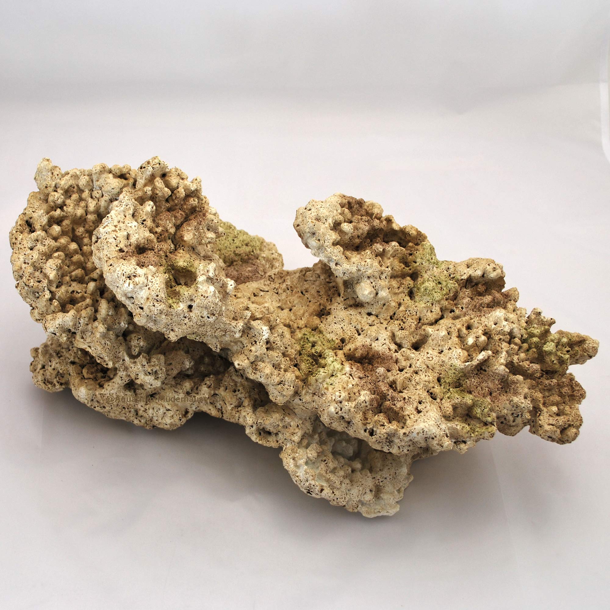 Riffgestein, 41 x 23,5 x 18 cm,Felsen Nachbildung,Meerwasser Aquarium Deko