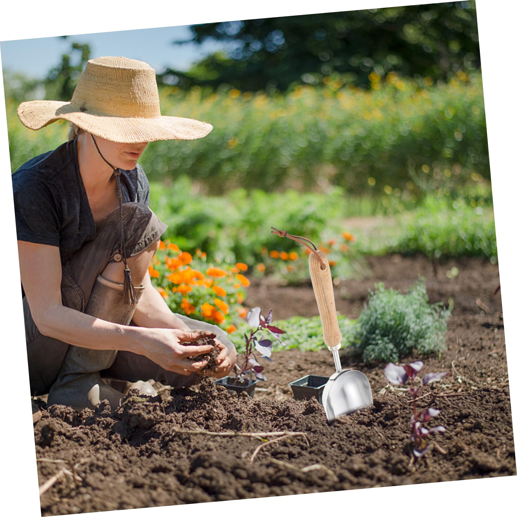 ifundom 2 Stück Gartenerde Schaufel Garten Handschaufel Landschaftsbau Spatenschaufel Garten Handkelle Werkzeug Kompakte Gartenschaufeln Gartenzubehör Gartengeräte Rostfreier