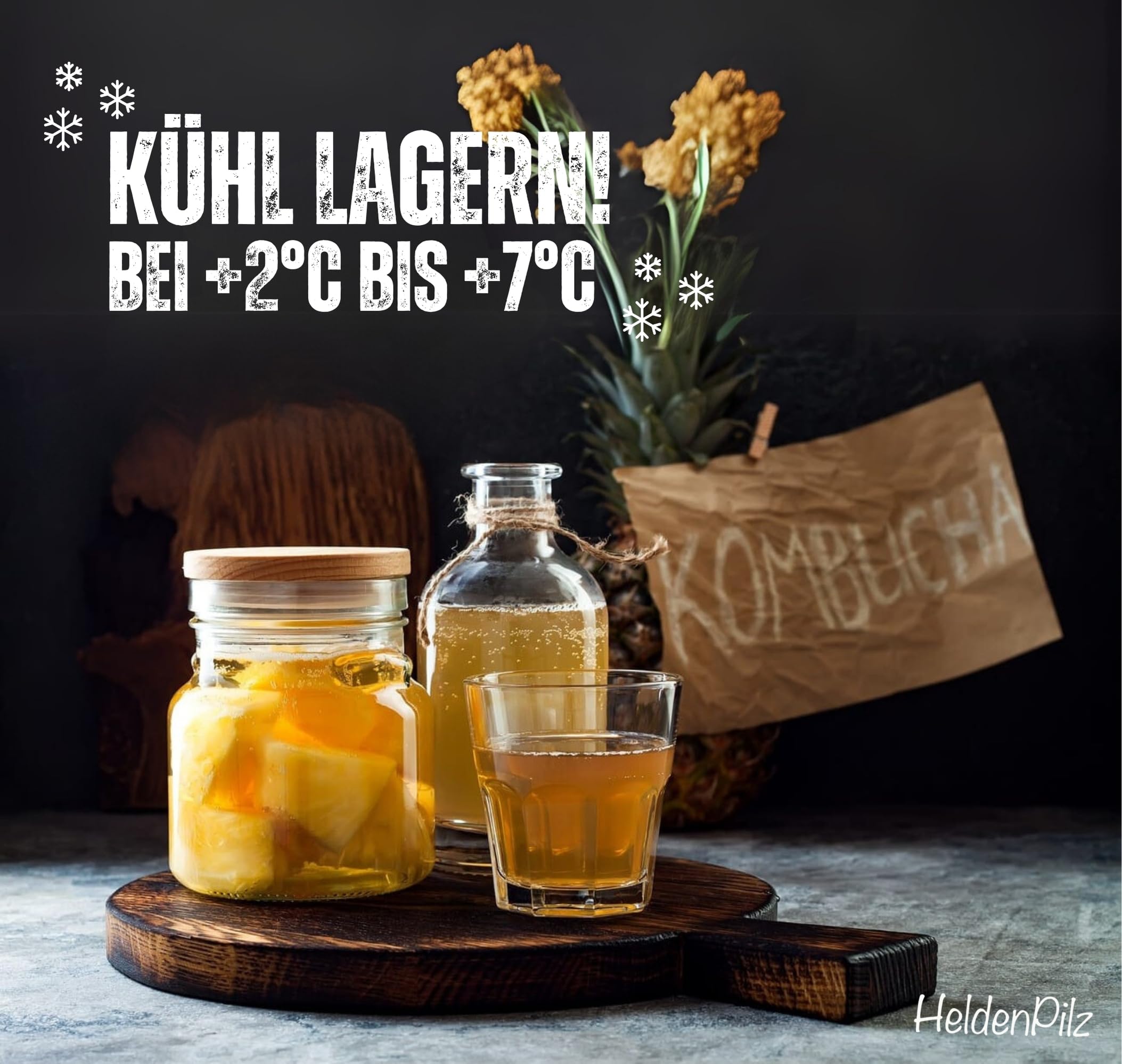 HeldenPilz Kombucha - Scoby vital y potente con líquido de raíz | Para 6 l de kombucha | Garantía de éxito, 100% natural, duradero