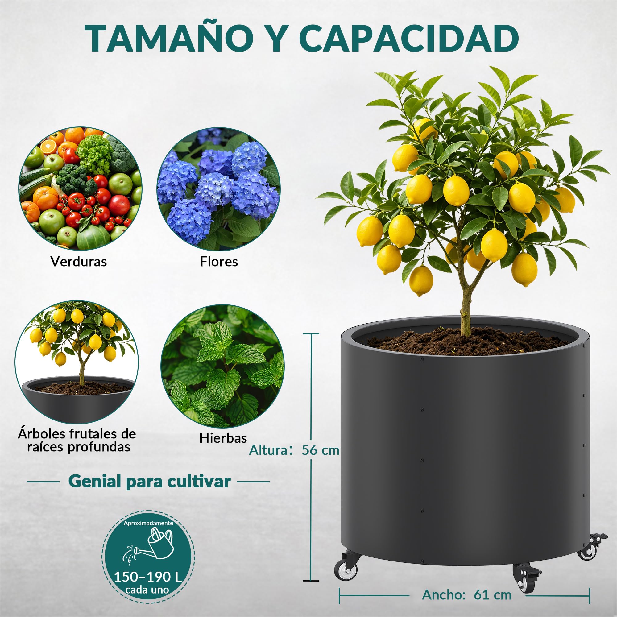 Macetas grandes para exteriores, Ø 61 * 56 cm de alto, de metal con ruedas, 150L para árboles de limón y verduras, 4 agujeros de drenaje para el balcón, jardín (2 piezas)