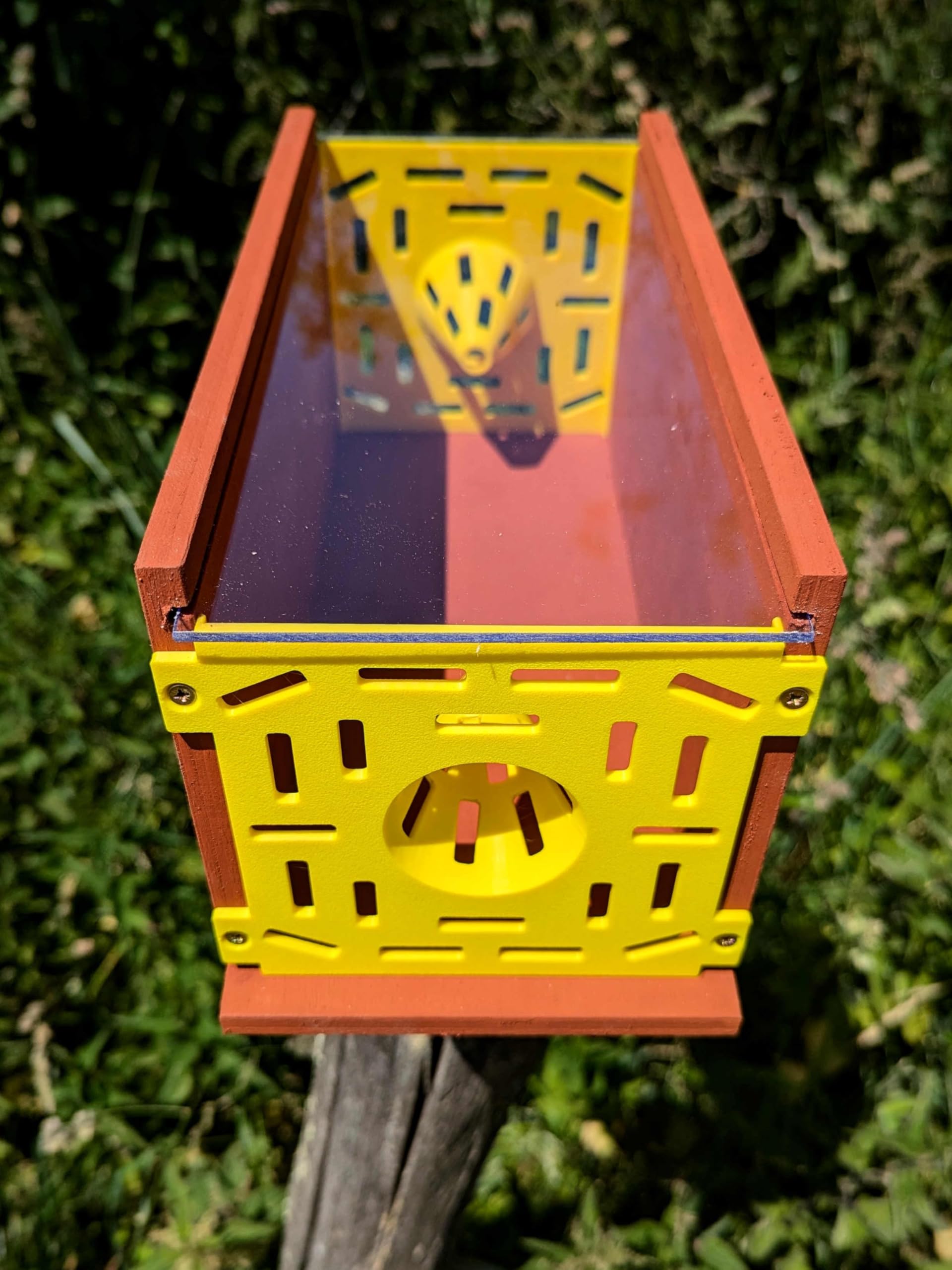 Piège Sélectif pour Frelons Asiatiques, Bois Contreplaqué Okoumé, Peinture à la Farine Rouge, Fabrication Artisanale (Sans kit appât facile)