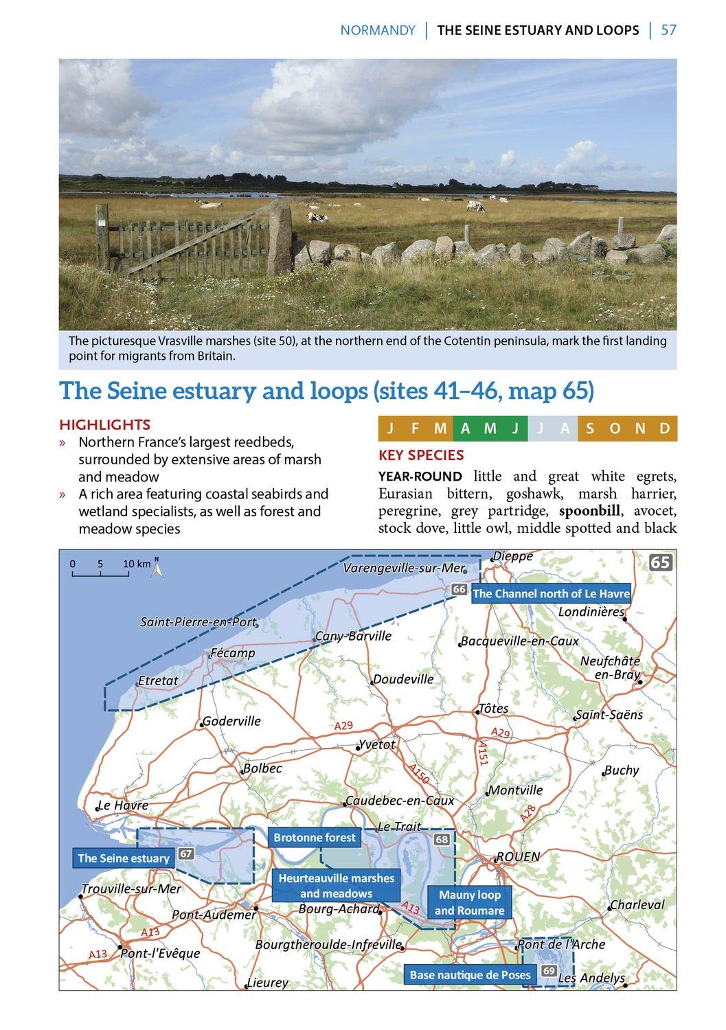 Where to Watch Birds in France