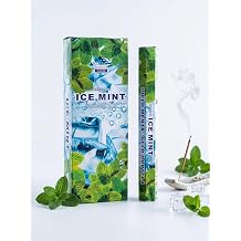 Darshan Ice Mint Buzlu Nane  ubuk T ts  - 20 Adet