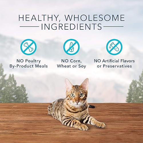 Miniatura 4 de Blue Buffalo Wilderness - Golosinas crujientes para gatos, bolsa de trucha de 2 onzas (paquete de 12)