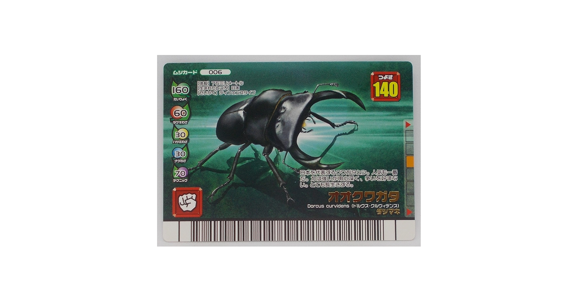 Amazon.co.jp: 【006-フォレストグリーン】オオクワガタ／甲虫