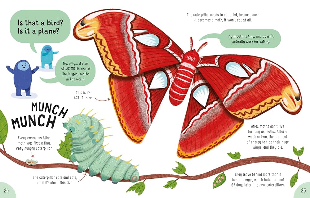 Lots of Things to Know About5冊 915X93lasZL._UF1000,1000_QL80_.jpg