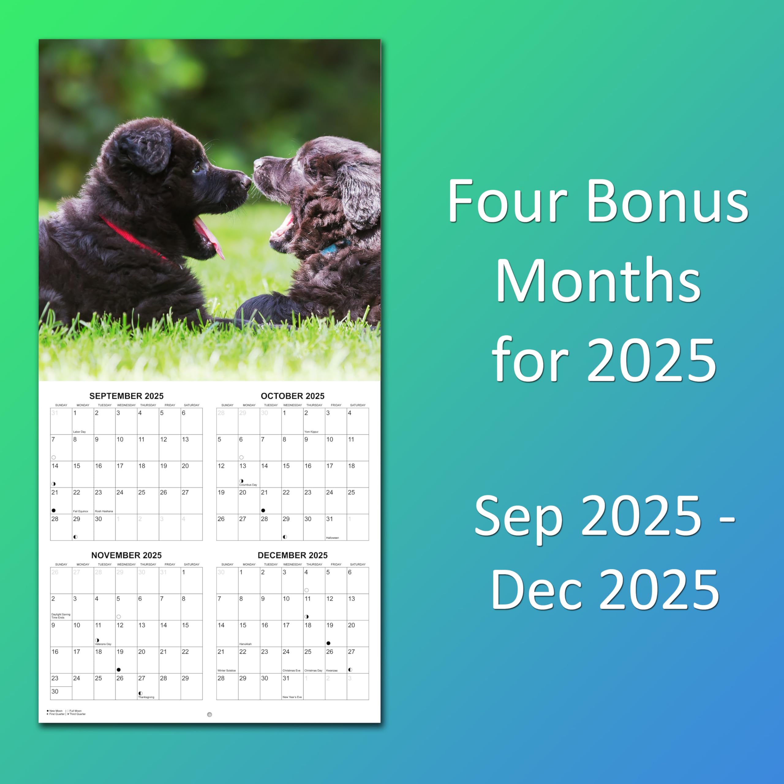 2025 German Shepherds Monthly Wall Calendar - Image 8