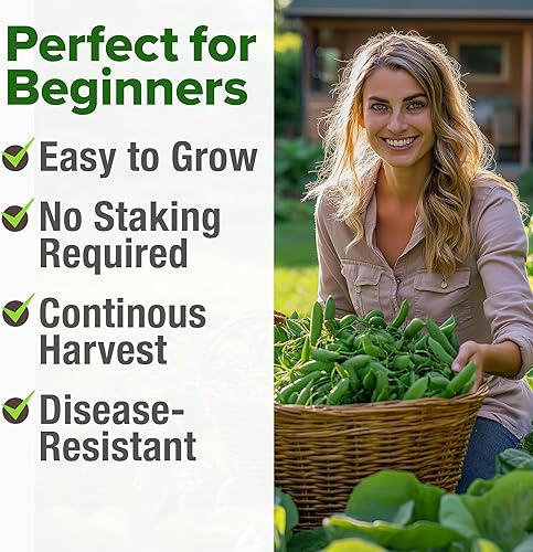 Miniatura 5 de HOME GROWN - Semillas de guisantes para plantar - Variedad cascadia orgánica de reliquia - 100 semillas de vegetales sin OMG - Cultivo de temporada