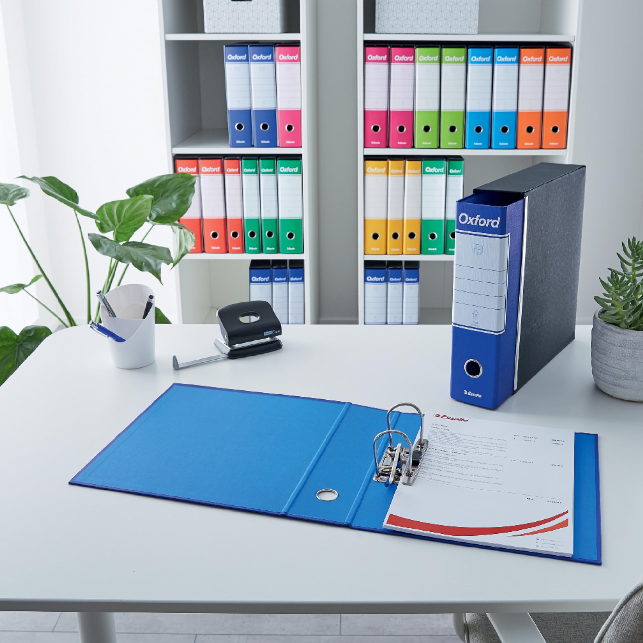 Esselte OXFORD G85 Registratore con Custodia, con Meccanismo a Leva N.1 in Formato Protocollo (23x33cm) con Dorso da 8 cm, Blu, Conf.da 6 pezzi, 390785050