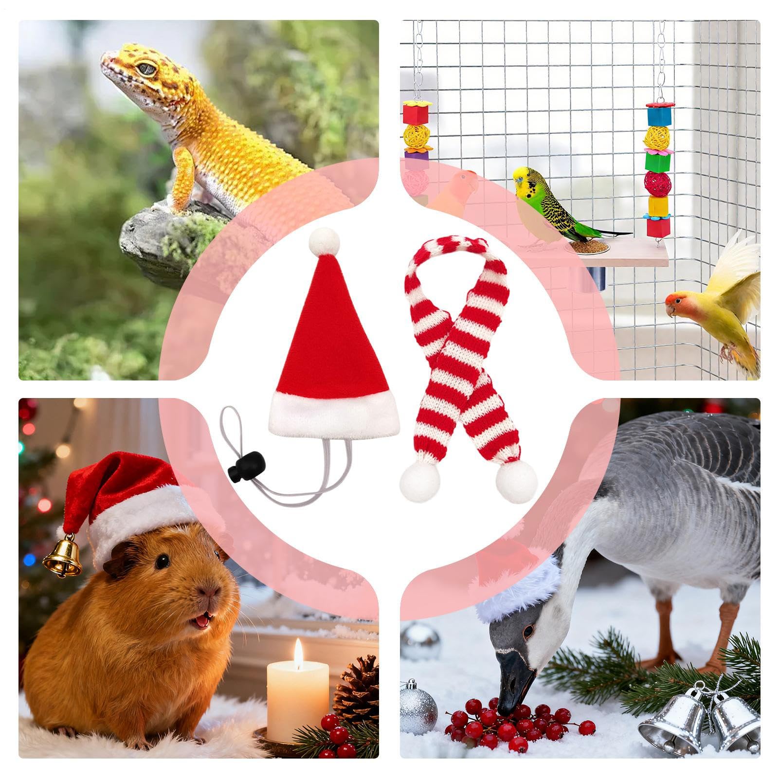 Huhn-Outfits, Weihnachtsmann-Thema, kleine Tier-Weihnachtsmütze mit verstellbarem Kinnriemen, für Henne, Hamster, Kaninchen, Kätzchen, Welpen, Eidechsen, Bauernhof-Dekoration