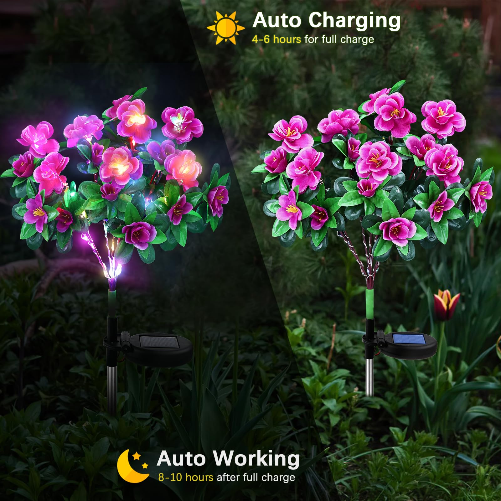 FWLWTWSS Solar Flower Lights Outdoor Garden, 2 Pack Rhododendron Solar Lights - Image 3