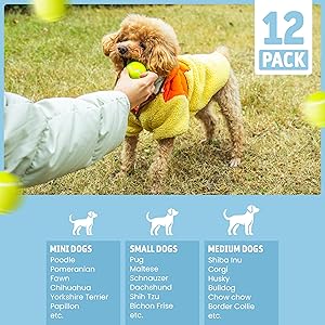 WRTZ 12 Small Tennis Balls for Dogs | 2 Inch Dog Fetch Toys for Your Smaller Pups | Non-Abrasive for Smaller Mouths | Interactive Dog Toys for Boredom & Fun | Works with Ball Launcher for Small Dogs