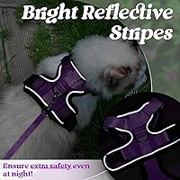 Vista 206 de rabbitgoo Arnés y correa para caminar, a prueba de escapes, chaleco suave y ajustable para gatos, fácil de controlar, transpirable, tiras