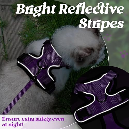 Miniatura 206 de rabbitgoo Arnés y correa para caminar, a prueba de escapes, chaleco suave y ajustable para gatos, fácil de controlar, transpirable, tiras