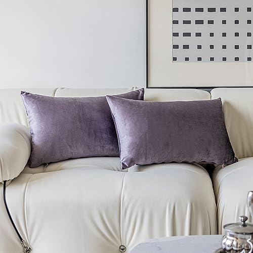 Demetex Juego de 2 fundas de almohada decorativas de felpa morada de 12 x 20 pulgadas, fundas de almohada rectangulares suaves de terciopelo para