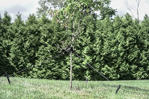 Miniatura 2 de Kit de estacas de soporte de anclaje de árbol sistema de arboristas o paisajismo resistente para plantar y trasplantar árboles, estacas de plástico