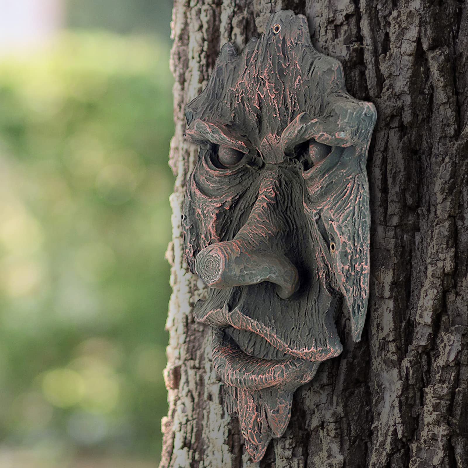 Amazon.co.jp: 木の顔 - 気まぐれな木の顔の彫像 - 屋外の庭の庭の木の