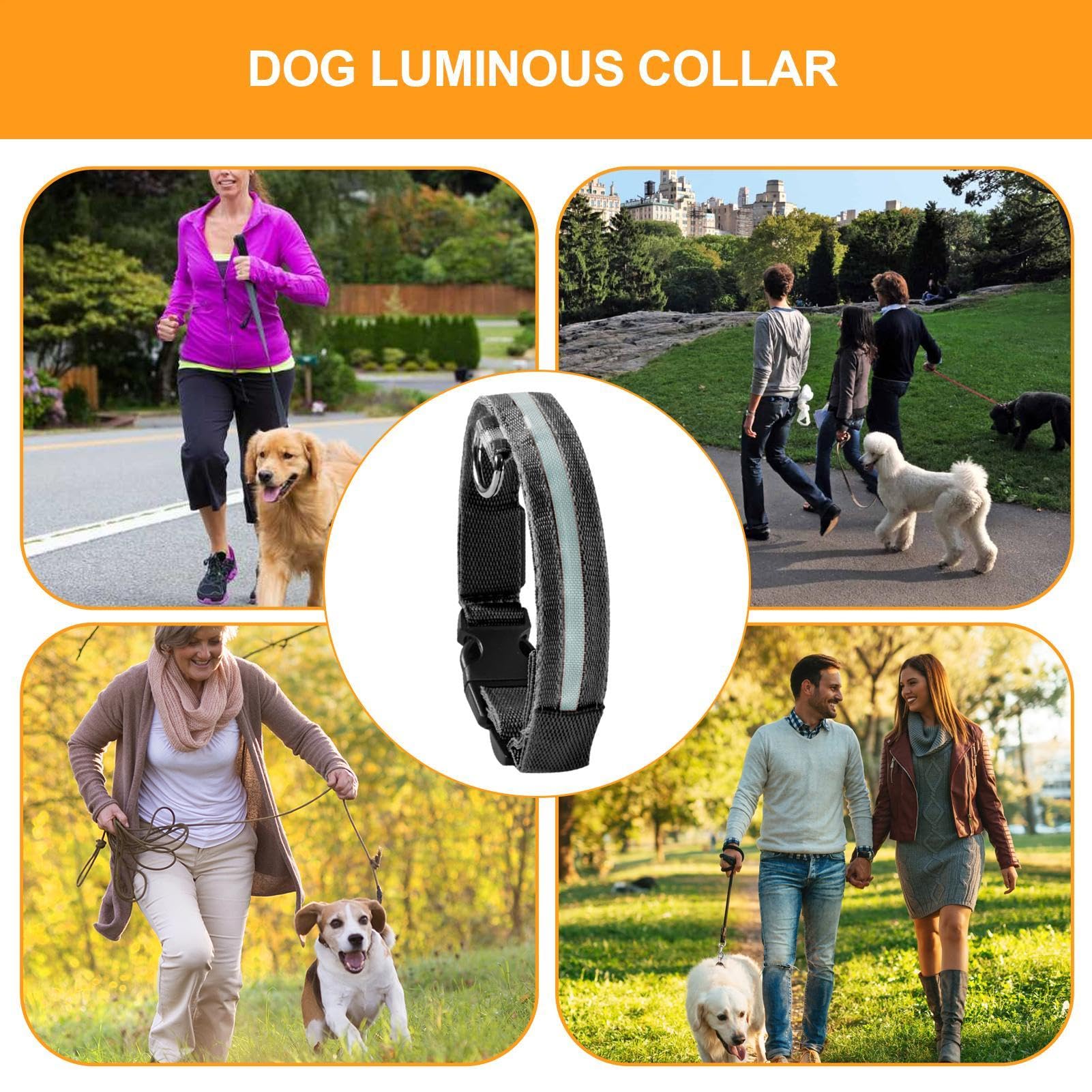 LED | Collare luminoso lampeggiante per cani, collari regolabili che | brillano al buio per cuccioli, cani di taglia media e piccola.