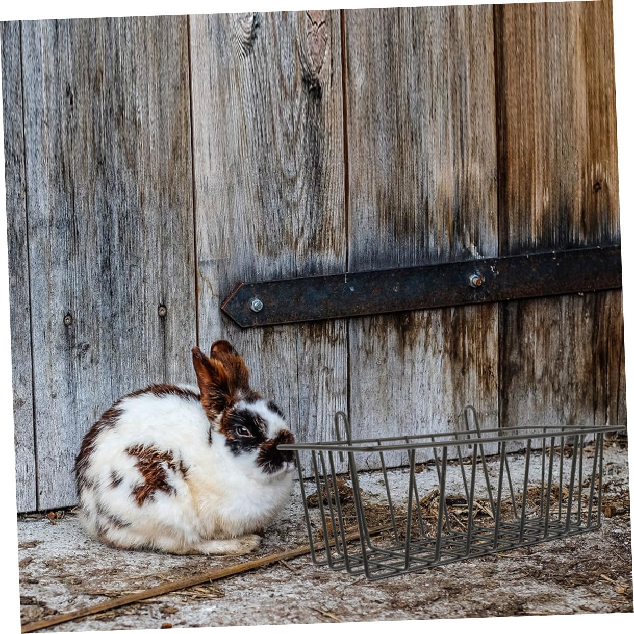 Râtelier à Foin en Fil de Fer pour Lapins, Lot de 4, Cage | Blanc et Noir, Installation Facile, pour Petits Animaux, Réduit le Gaspillage de Foin