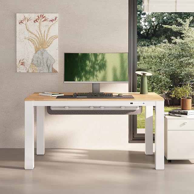 FlexiSpot FLEXISPOT E3Q-PRO 4-Leg Standing Desk, 55"x28" Rubberwood, Natural