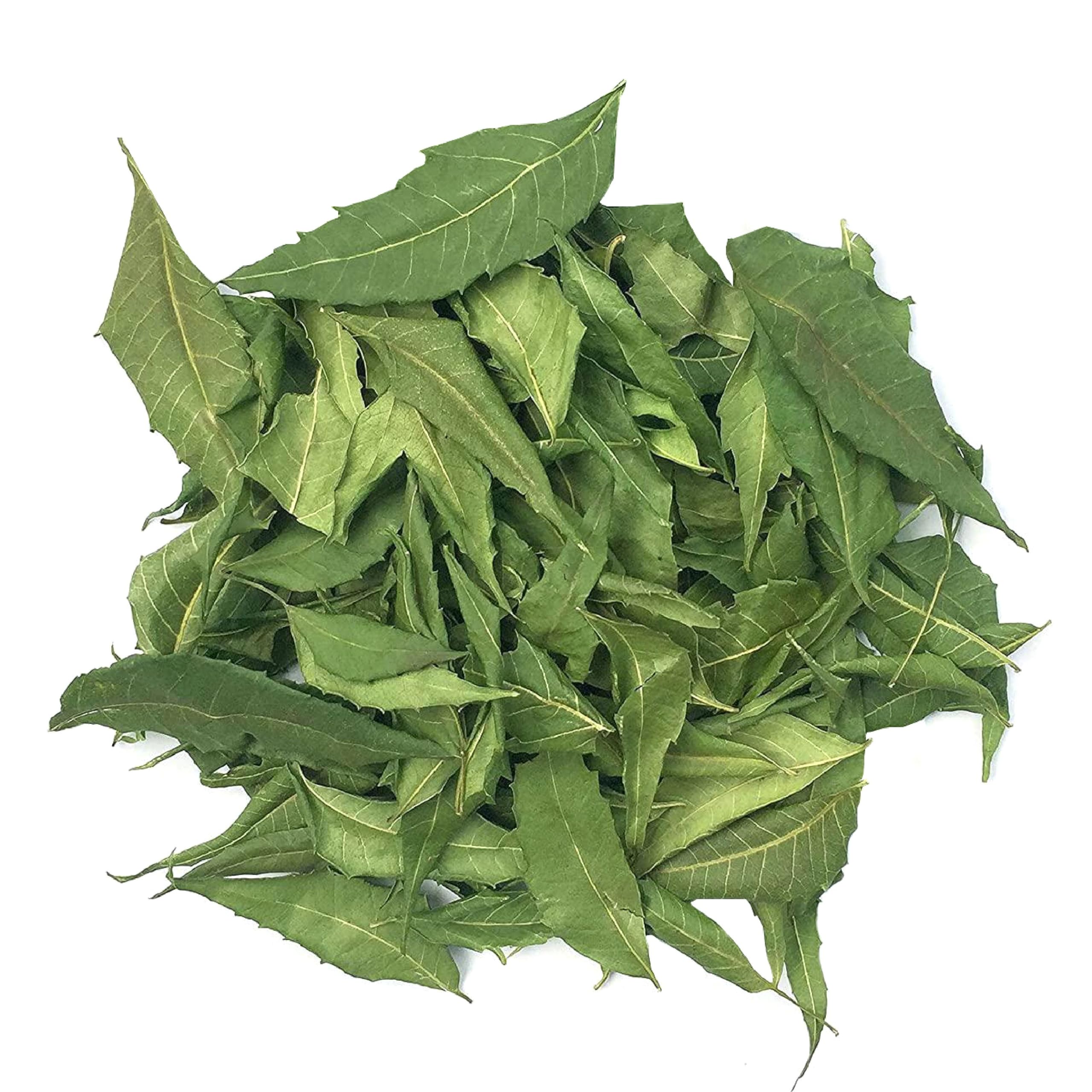 Dr. Arya's Neem Patra 100gm| Neem Leaves Dried - Neem Patti Sukhi - Neem Leaf - 100gm - Image 2 thumbnail