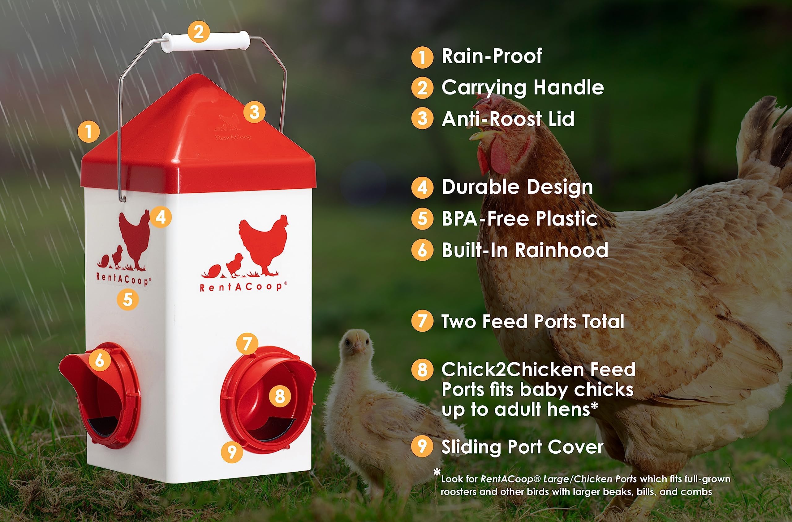 Amazon.co.jp: RentACoop Chick2Chicken 5ポンド 2ポートフィーダー