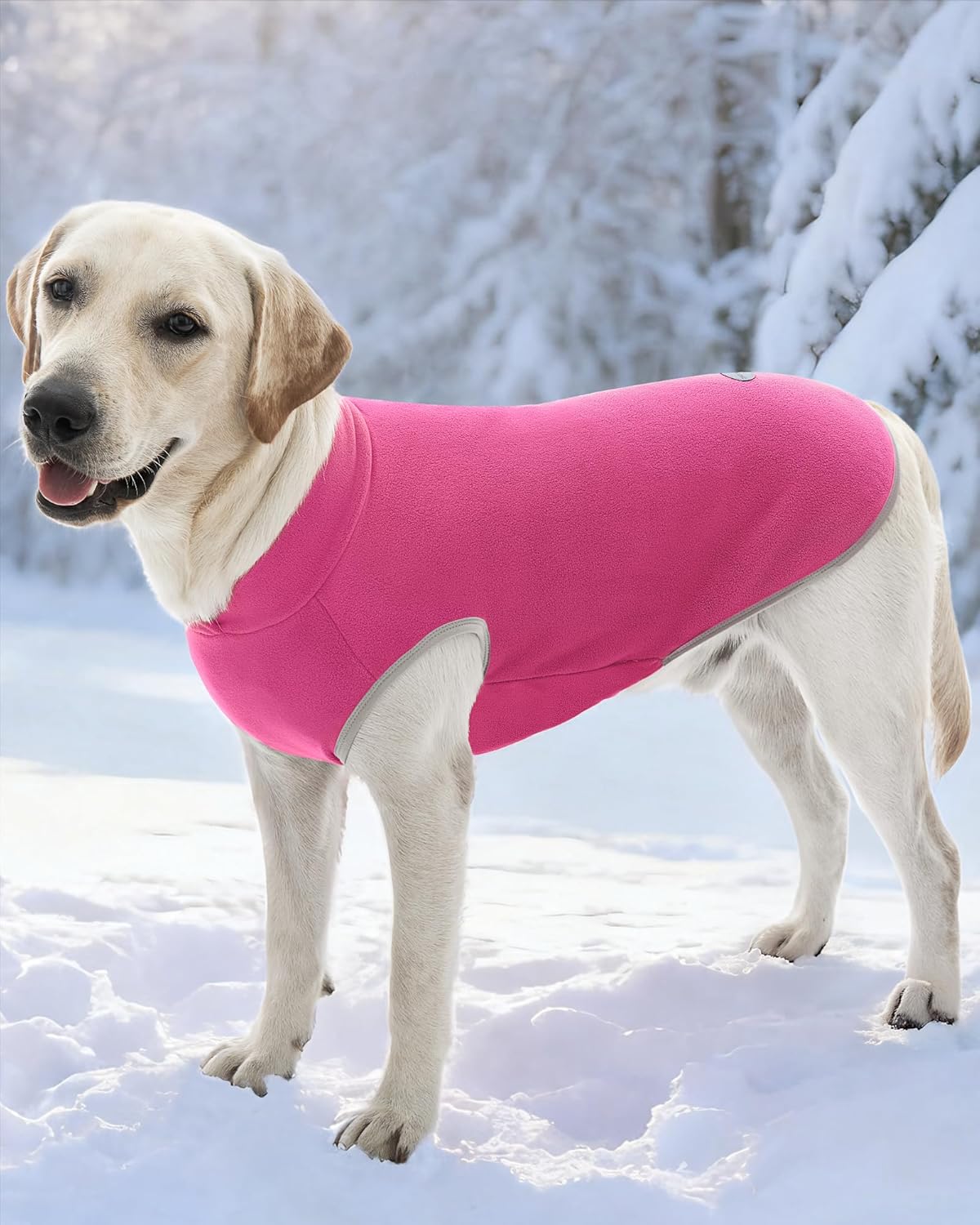 XPUDAC 4 Pieces Fleece Dog Sweaters Vest Winter Warm Dog Clothes for Small Medium Large Dogs Girl Soft Pullover Doggie Sweatshirt Puppy Cold Weather Jacket, 510-vest-L