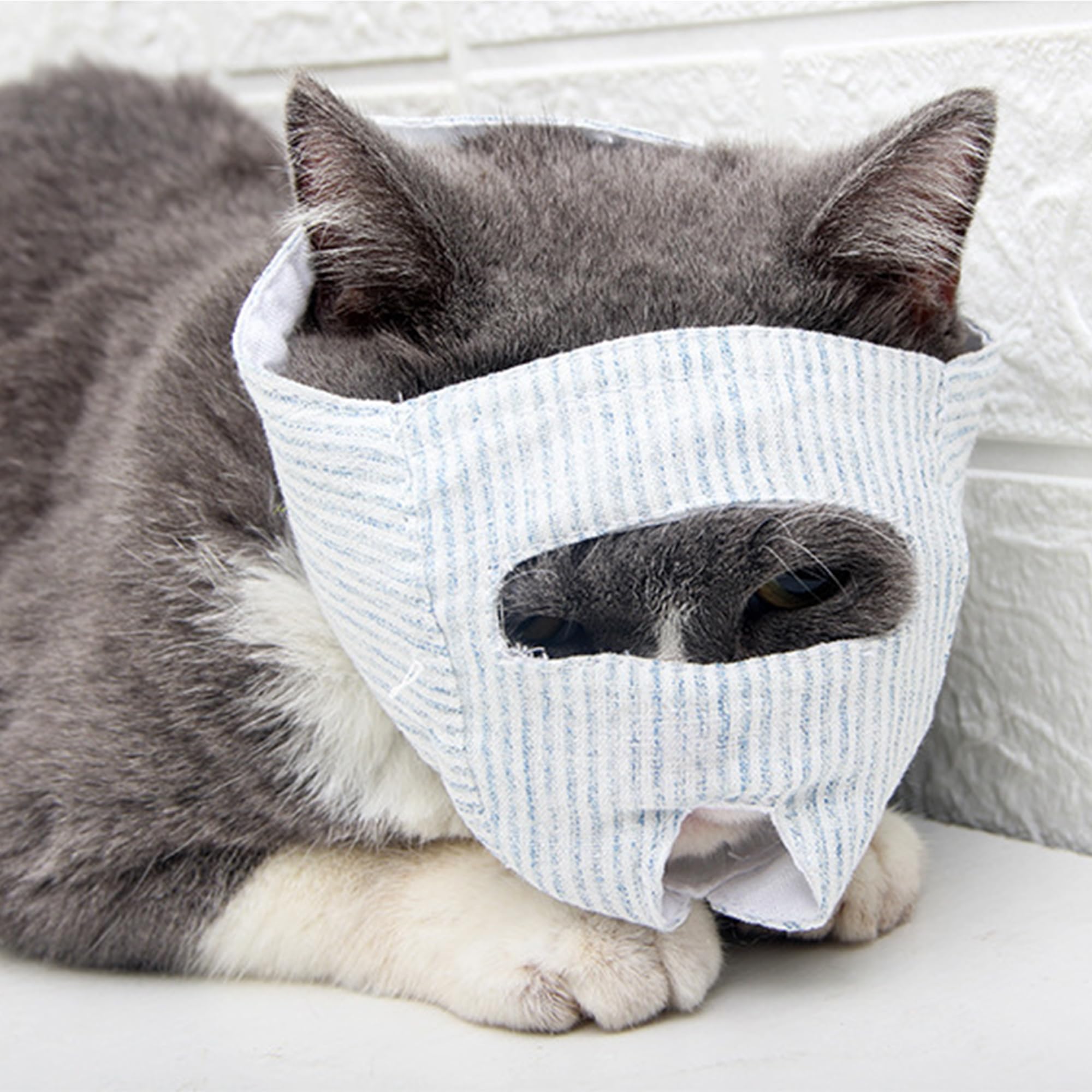 Museau Chat Soin Anti-Morsure Chat Respirant Réglable Empêcher Mastication Morsures Protection Claire Visage Soin Bain Doux Chat Rasage Ongles Coupants