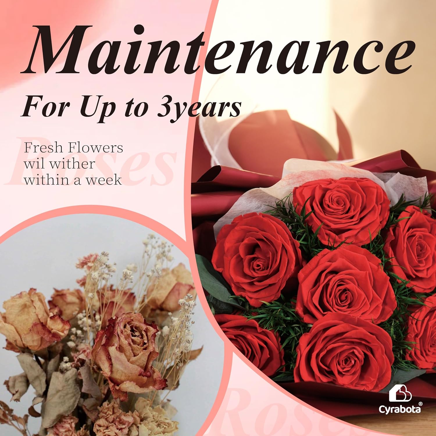 Preserved Red Rose Bouquet, 7 Pcs Real Forever Flowers Last 3+ Years, Gifts for Valentine's Day Mother's Day, for Wife Girlfriend Mom Her