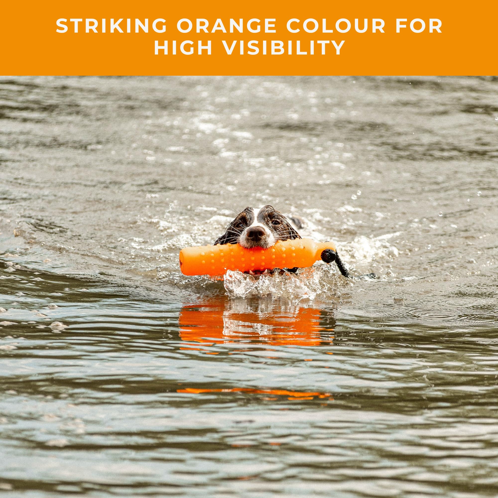 Dog & Field Gundog Water Dummy Jouet flottant pour chien avec cordon de lancement Orange Grande taille Flotteur d'eau en caoutchouc pour entraînement et récupération
