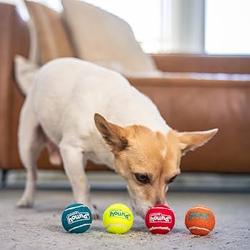 ARB The Best 　 POWER UP! HOUND DOG Amazon.com: Outward Hound Squeaker Ballz 4-Pack Tennis Ball