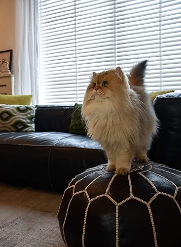 Miniatura 6 de Puf de cuero marroquí de alta calidad, hecho a mano, relleno entregado, otomano, reposapiés, cojín de suelo (marrón oscuro)