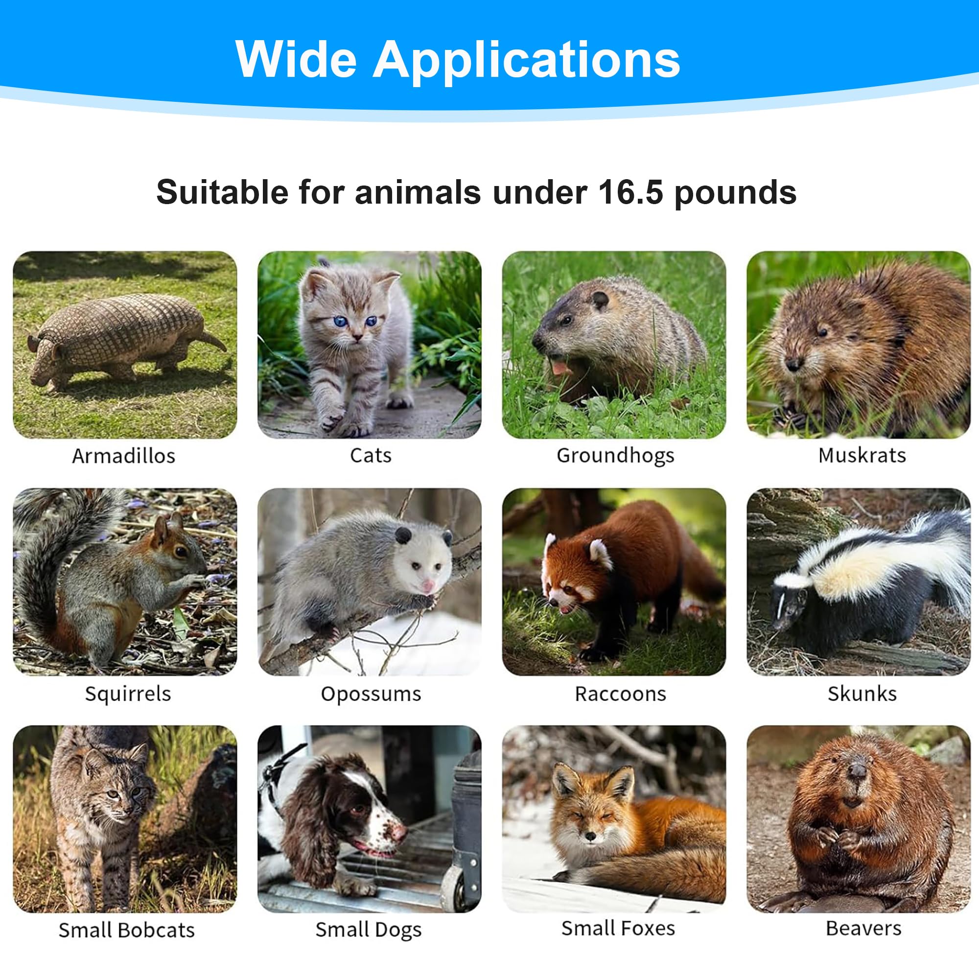 Pièges à Chat - Piège Animalier Vivant - Piège de Capture Animaux sans Cruauté, Pliable, Grand piège à martre pour Chat, Renard, Rat - 79x33x28 cm