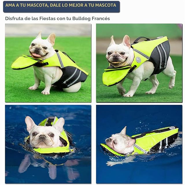 Foto 4 de 4 de Petglad Chaleco salvavidas Bulldog francés con flotador de barbilla para